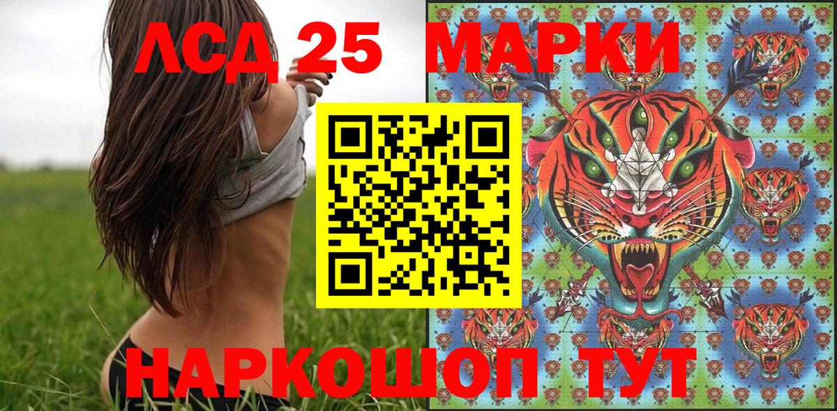 Марки 25I-NBOMe 1500мкг  Марки 25I-NBOMe 1500мкг  Благодарный  Марки N-bome  Вход с VPN 