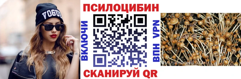 Галлюциногенные грибы Magic Shrooms  Благодарный 