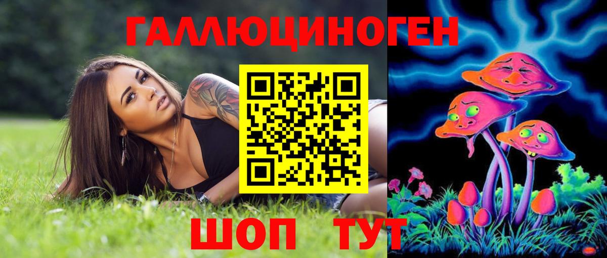 Галлюциногенные грибы GOLDEN TEACHER Благодарный