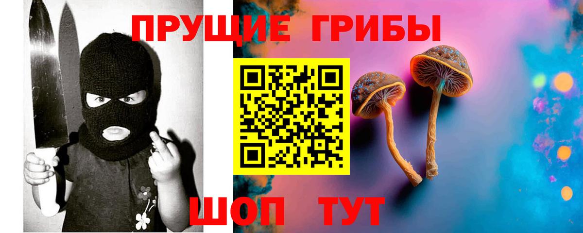 Благодарный  закладка  Вход с VPN  Псилоцибиновые грибы GOLDEN TEACHER 